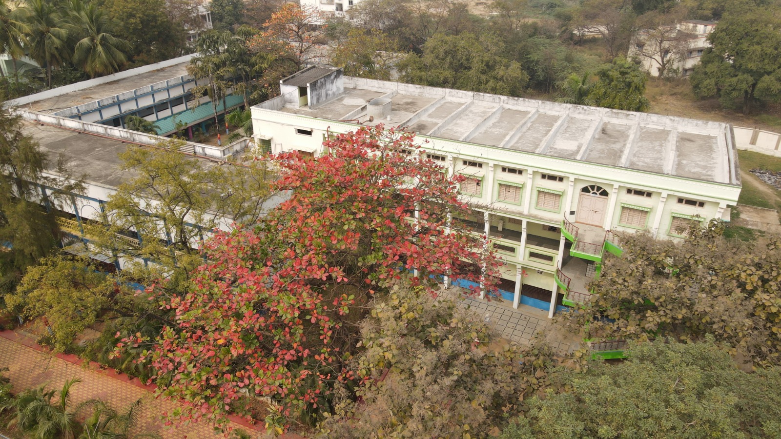 WhatsApp Image 2026-01-31 at 4.04.13 PM